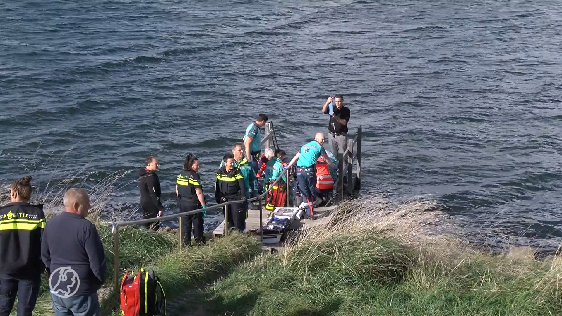 Duiker overlijdt na onwel worden bij het Veerse Meer