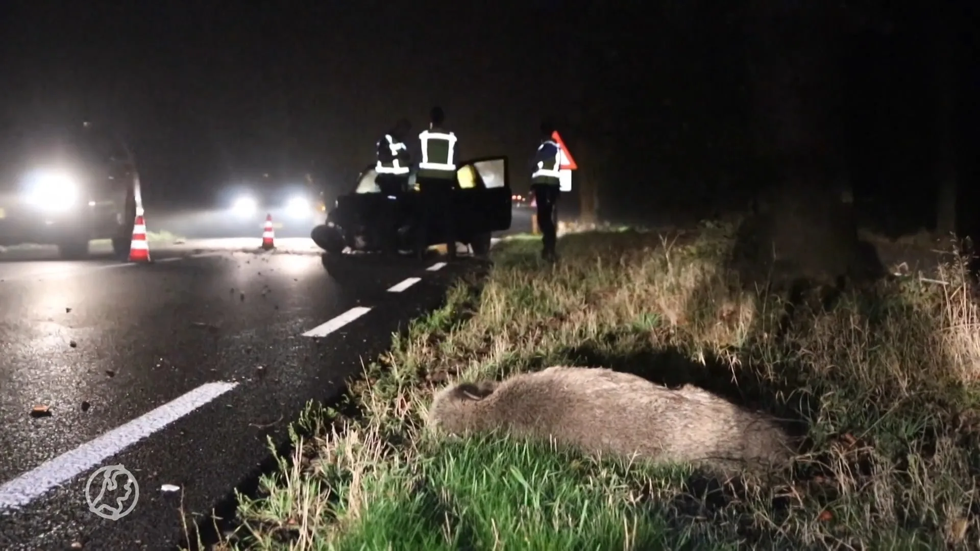 Automobilist schept wild zwijn in dikke mist en knalt tegen boom
