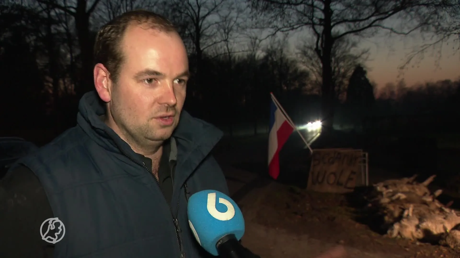 Provincies willen wolf gaan weren, maar voor deze schapenfokker komt het te laat