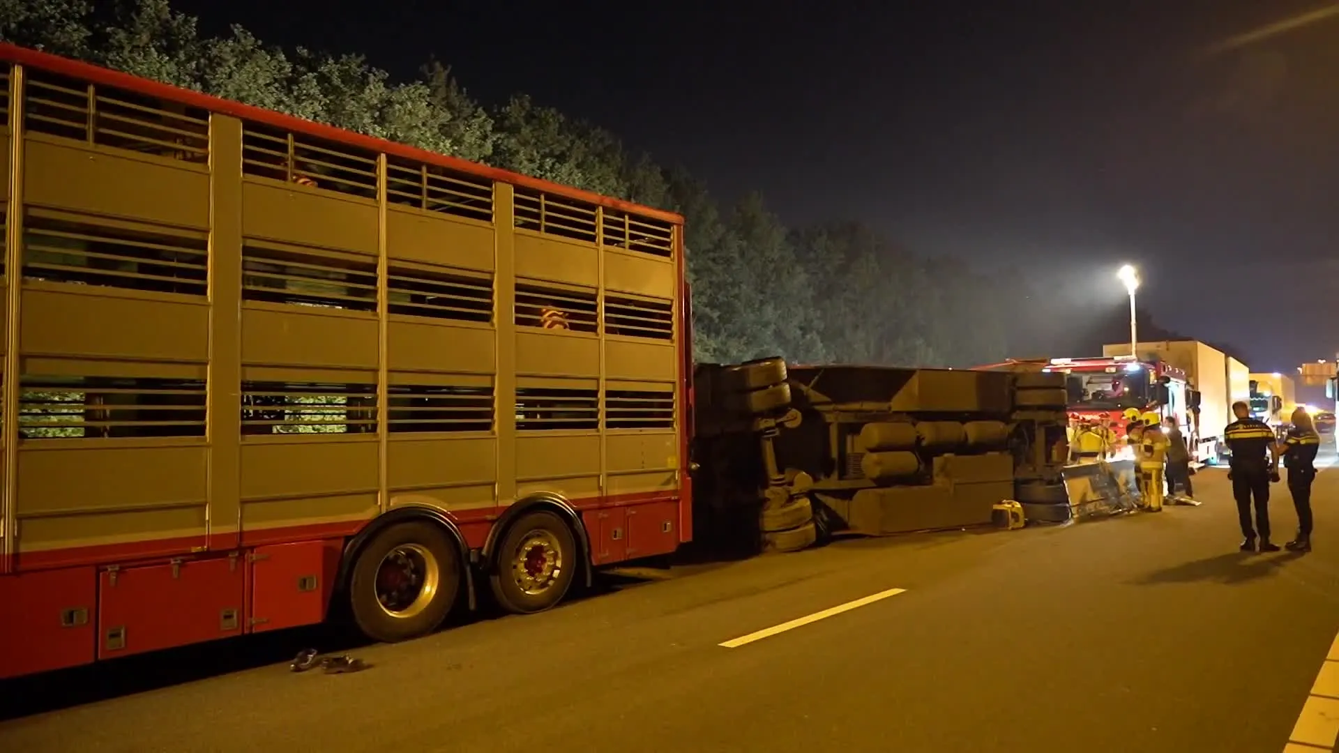 Trailer vol varkens kantelt op A73, dieren overleden
