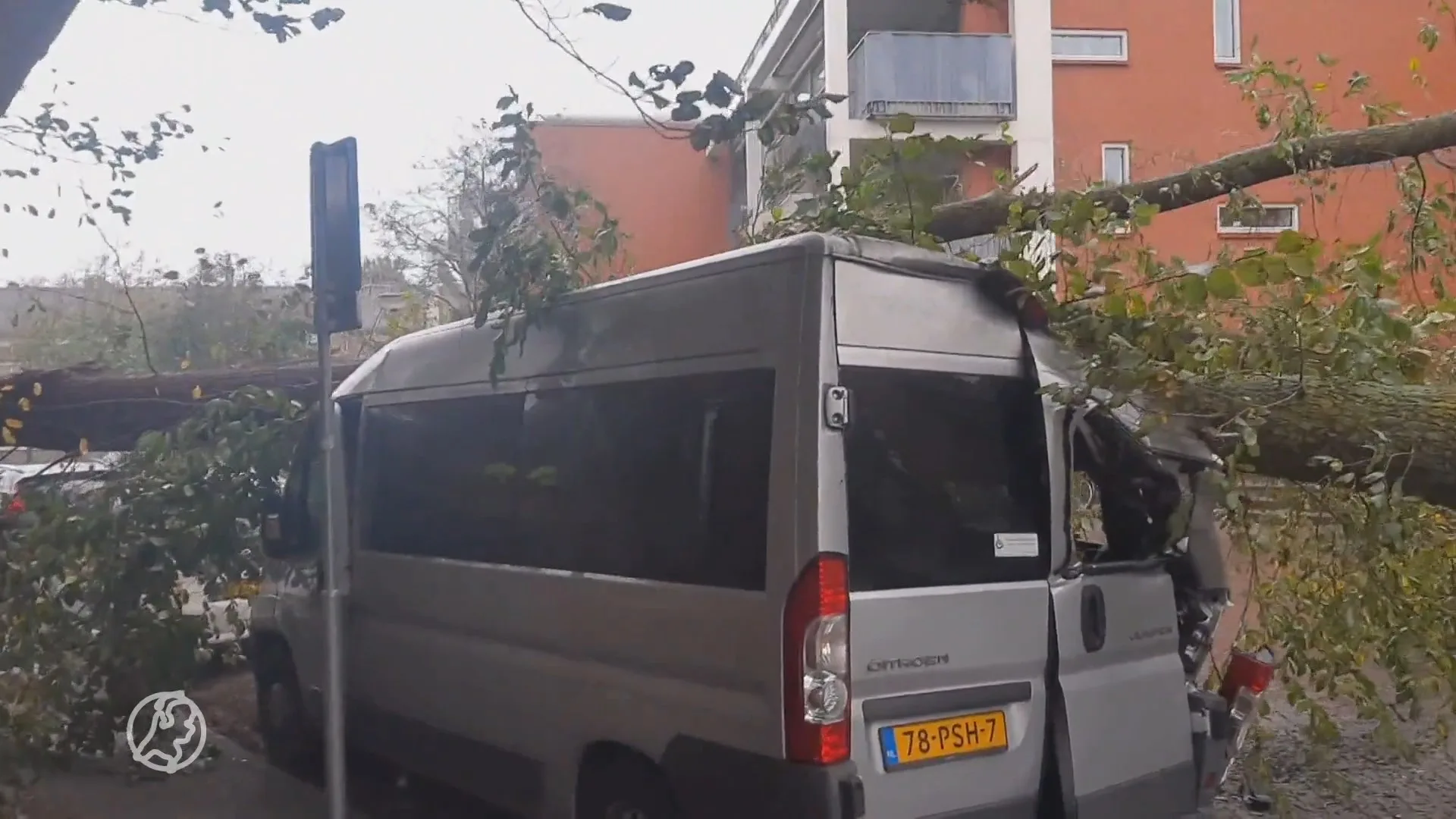 Rolstoelbus van 20-jarige Fynn total loss door omgewaaide boom: 'We kunnen nu geen kant op'