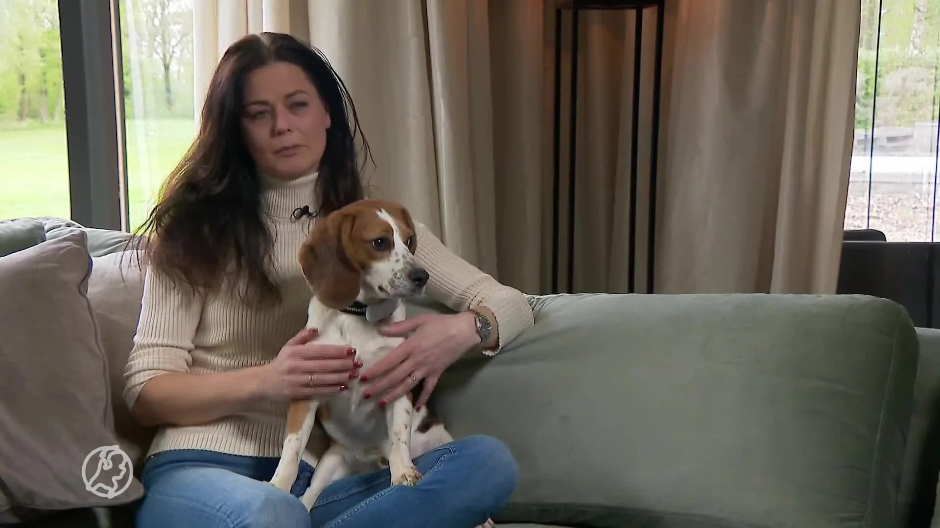 Deel laboratorium-Beagles heeft gouden mandje gevonden