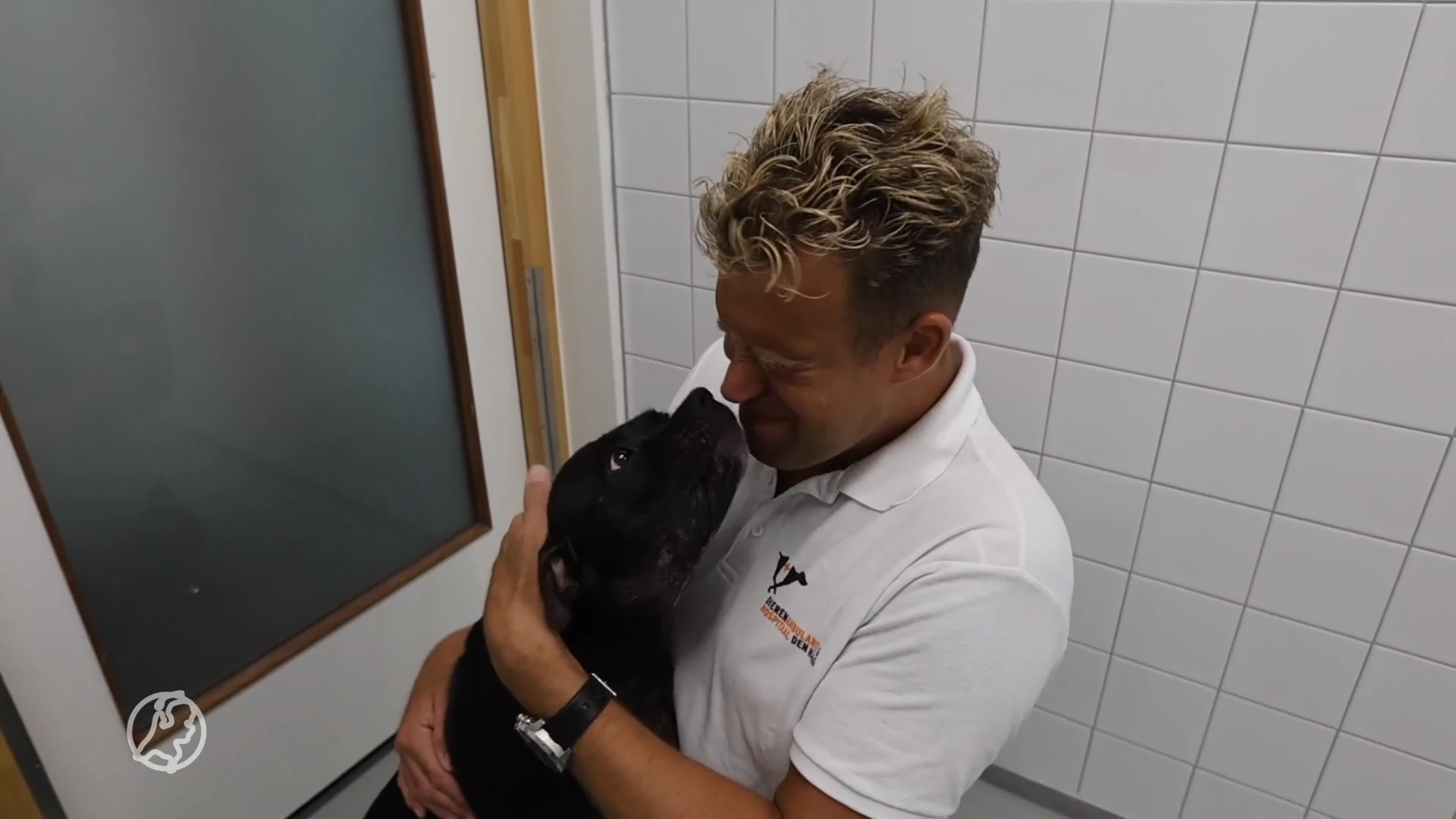 Vermiste puppy uit Parijs gevonden voor paleis van de koning in Den Haag