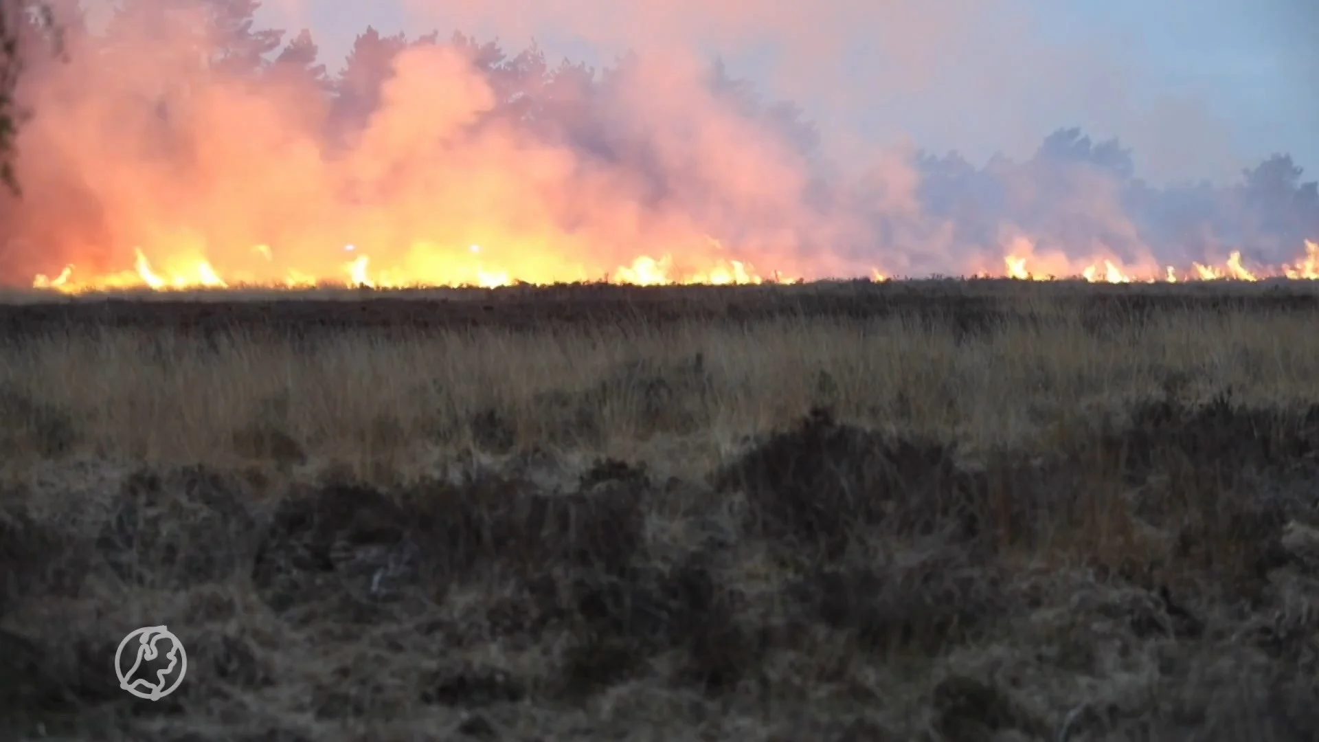 Grote heidebrand bij Uddel onder controle, hectare in de as g...
