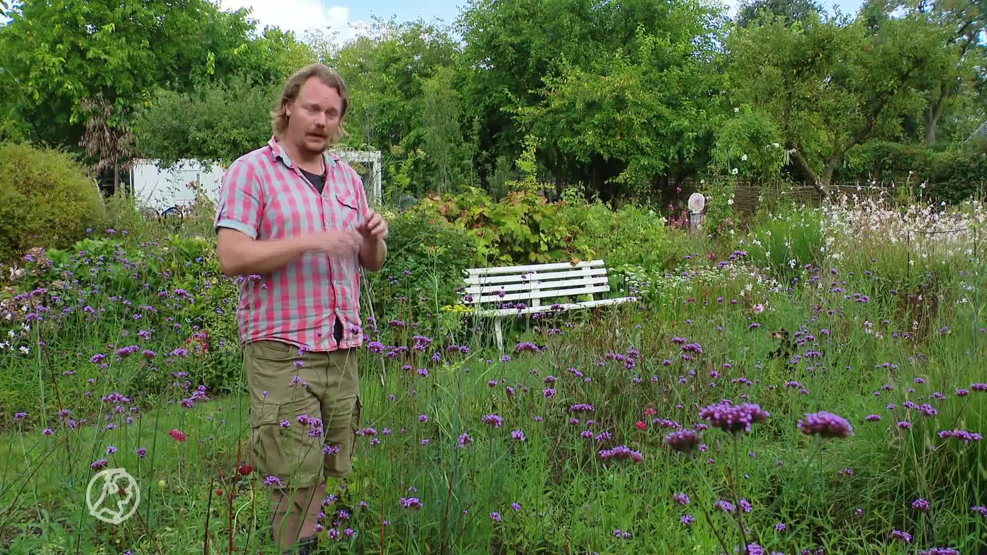 Mysterieuze rupsenroof: wie heeft de diertjes gejat uit Nijmegen?