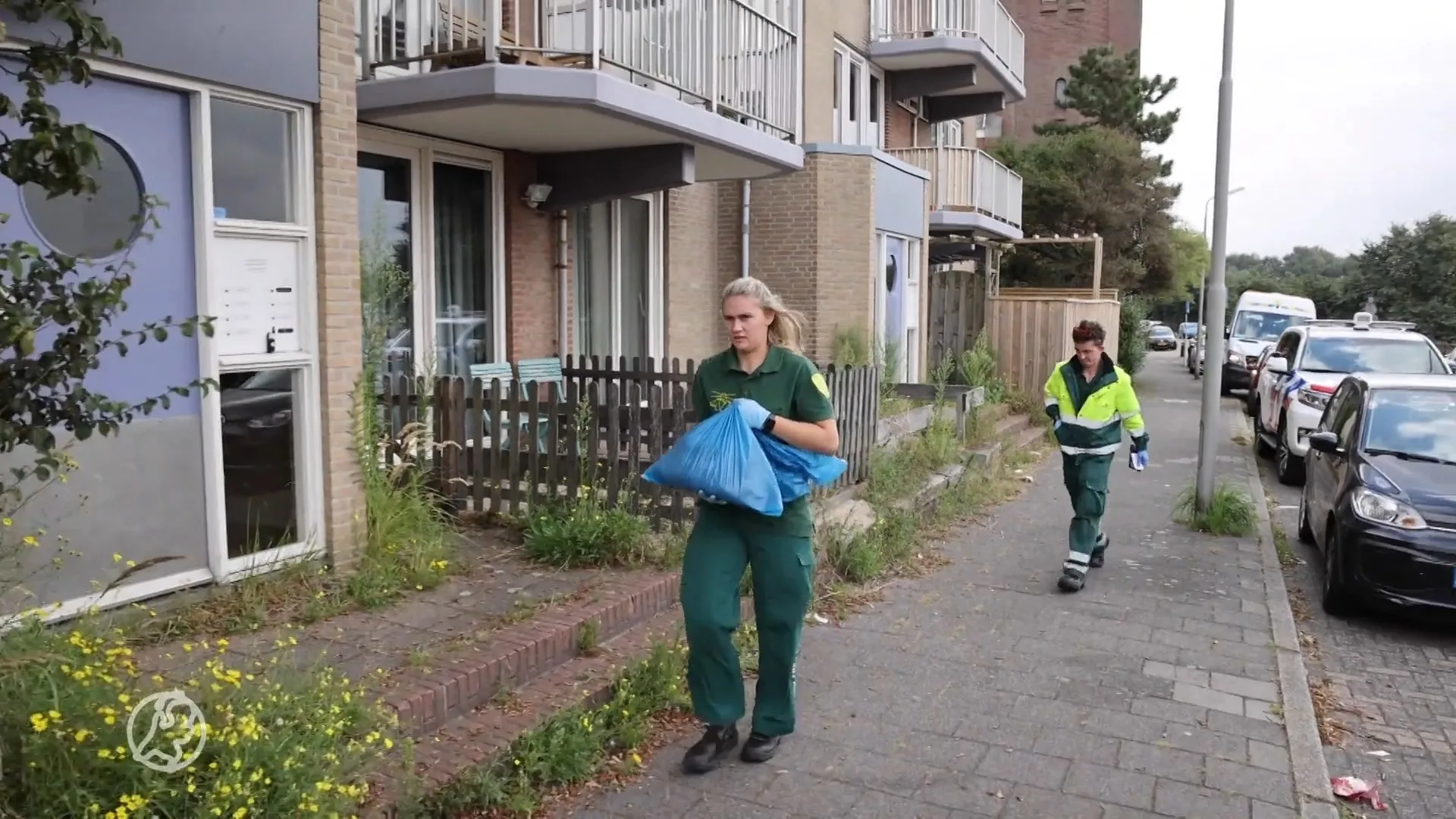 Twee katten sterven bij woningbrand IJmuiden, bewoner aangehouden