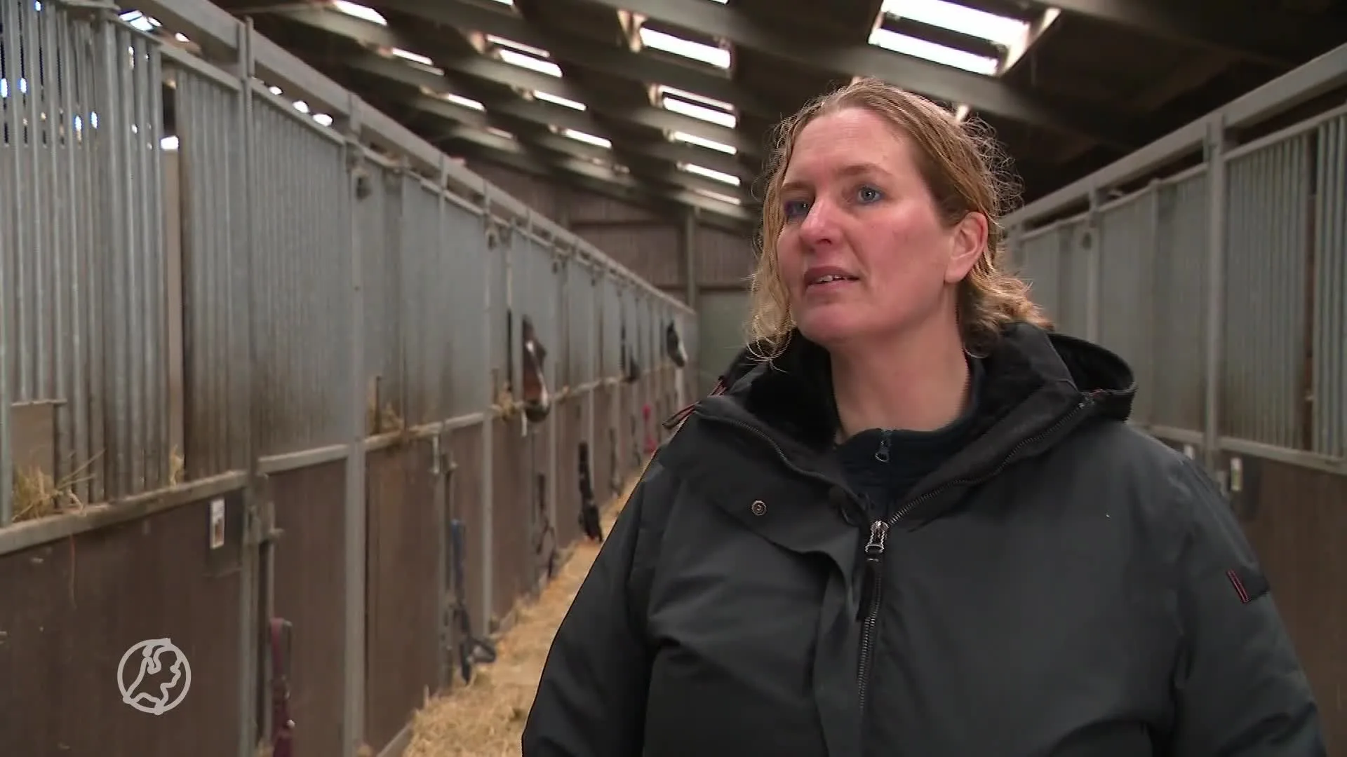 Stukjes glas neergedaald na grote brand in Etten-Leur: 'Let op kinderen en dieren'