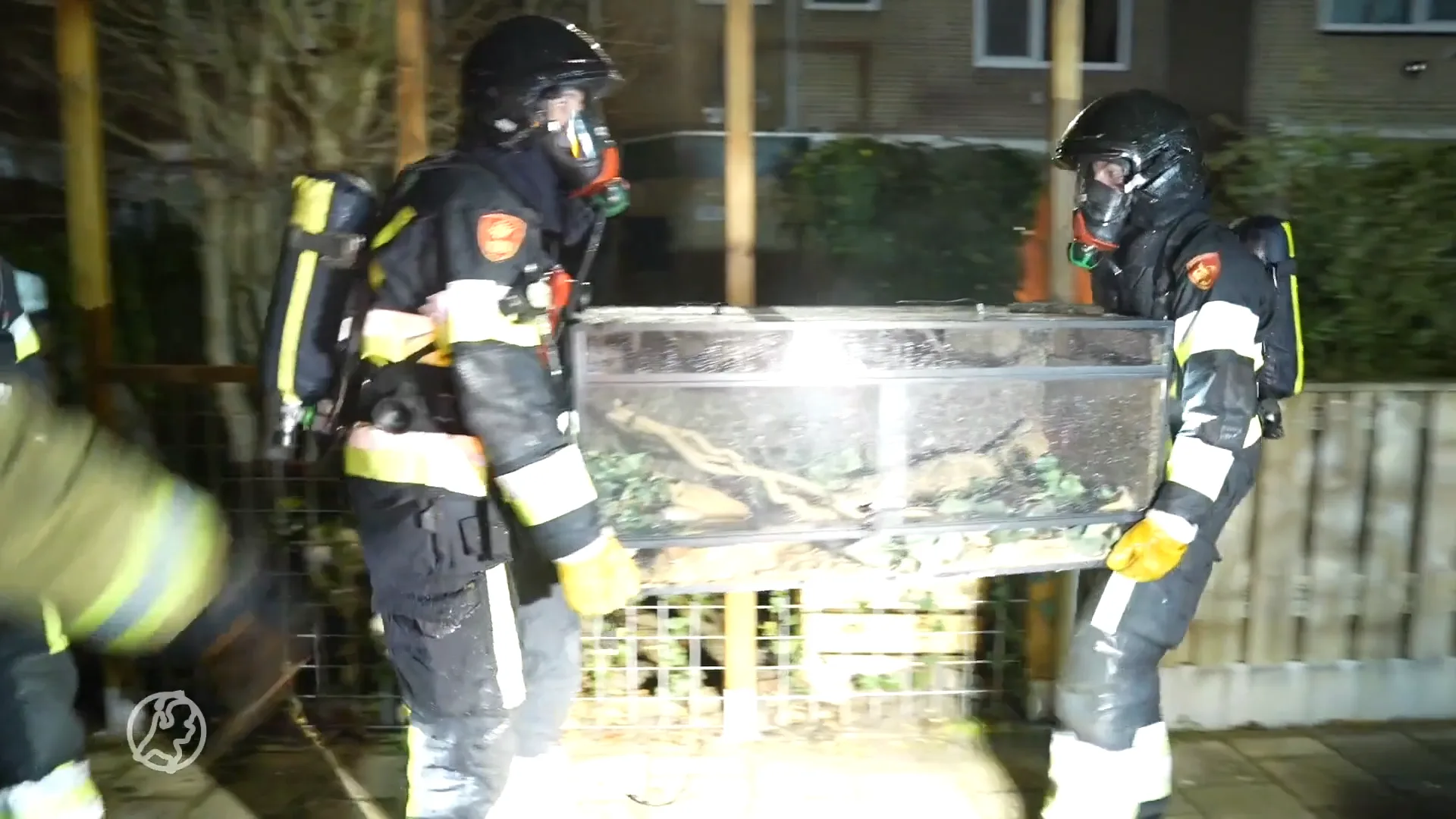 Twee gewonden en dieren opgevangen na woningbrand in Spijkenisse