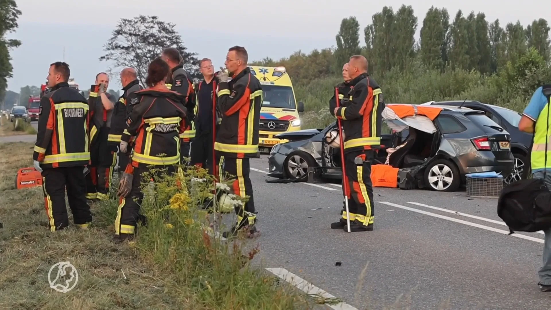 Hond veroorzaakt kettingbotsing op N445 bij Hazerswoude-Dorp