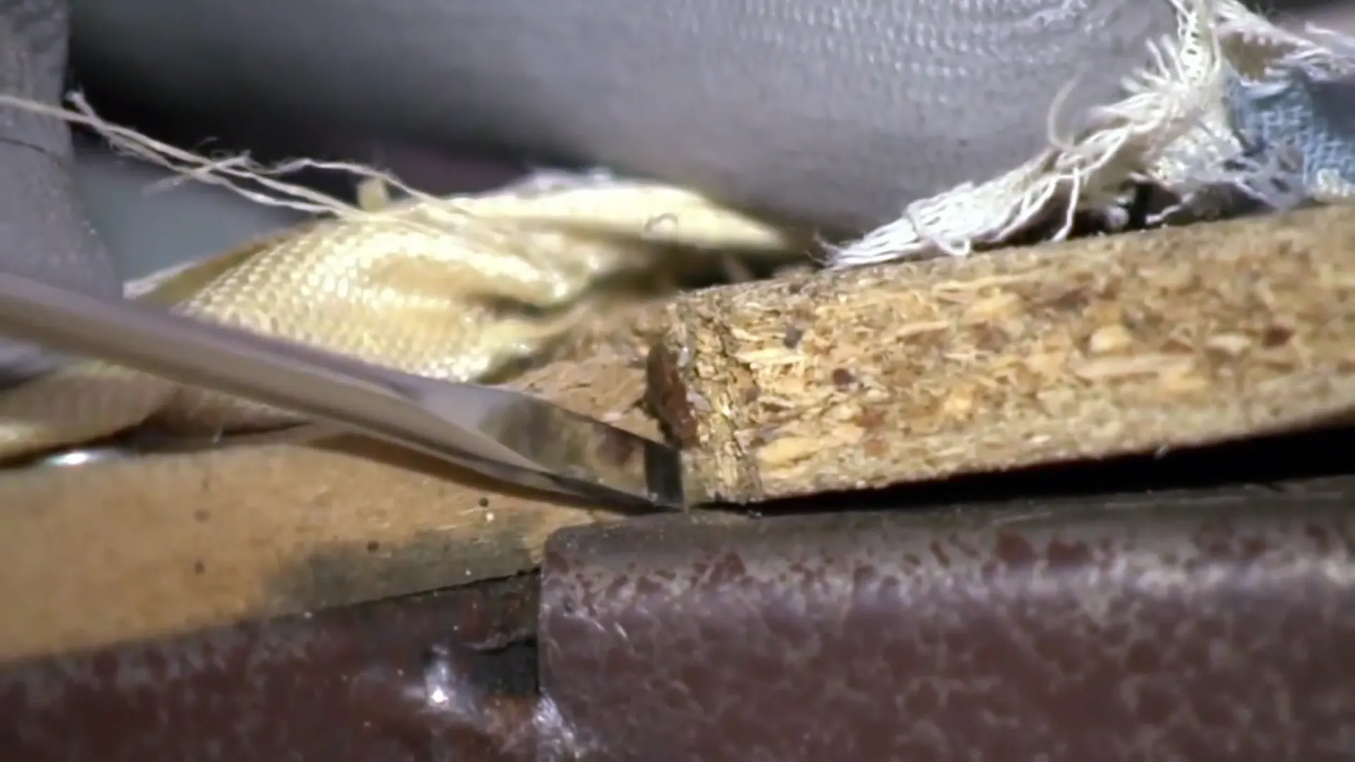 Studenten slapen tussen bedwantsen, schimmel en ratten in stinkende flat