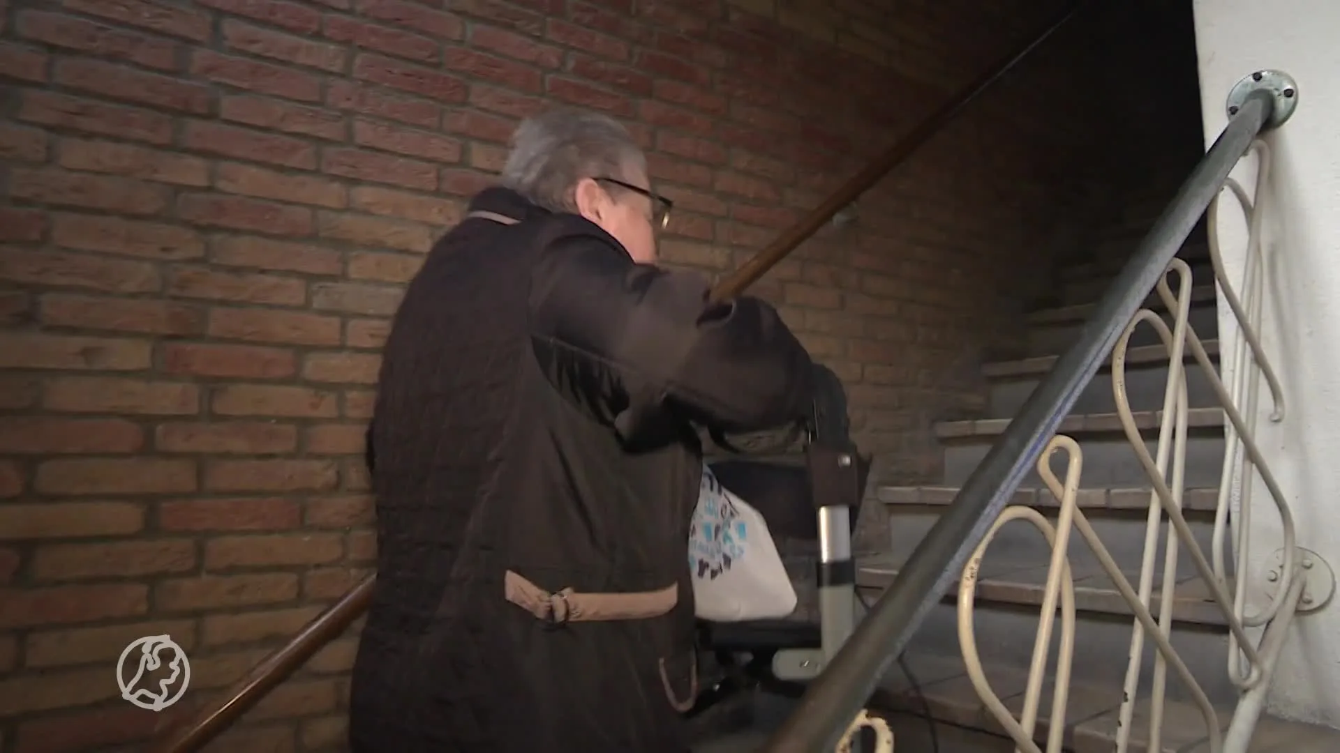 Schiedamse flat 'niet woonbaar' door rattenplaag