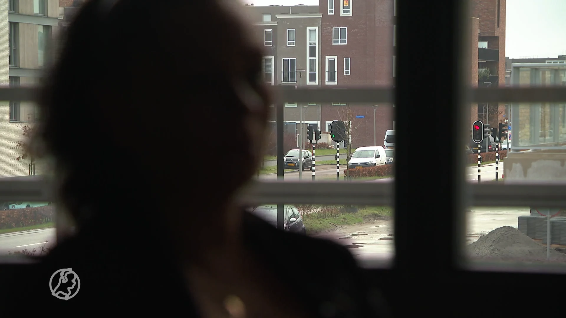 Huiselijk geweld en werkeloos