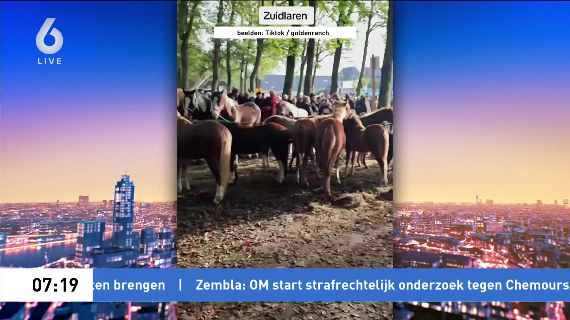 Jongeren in Zuidlaren kopen pony en zetten het dier in de bus