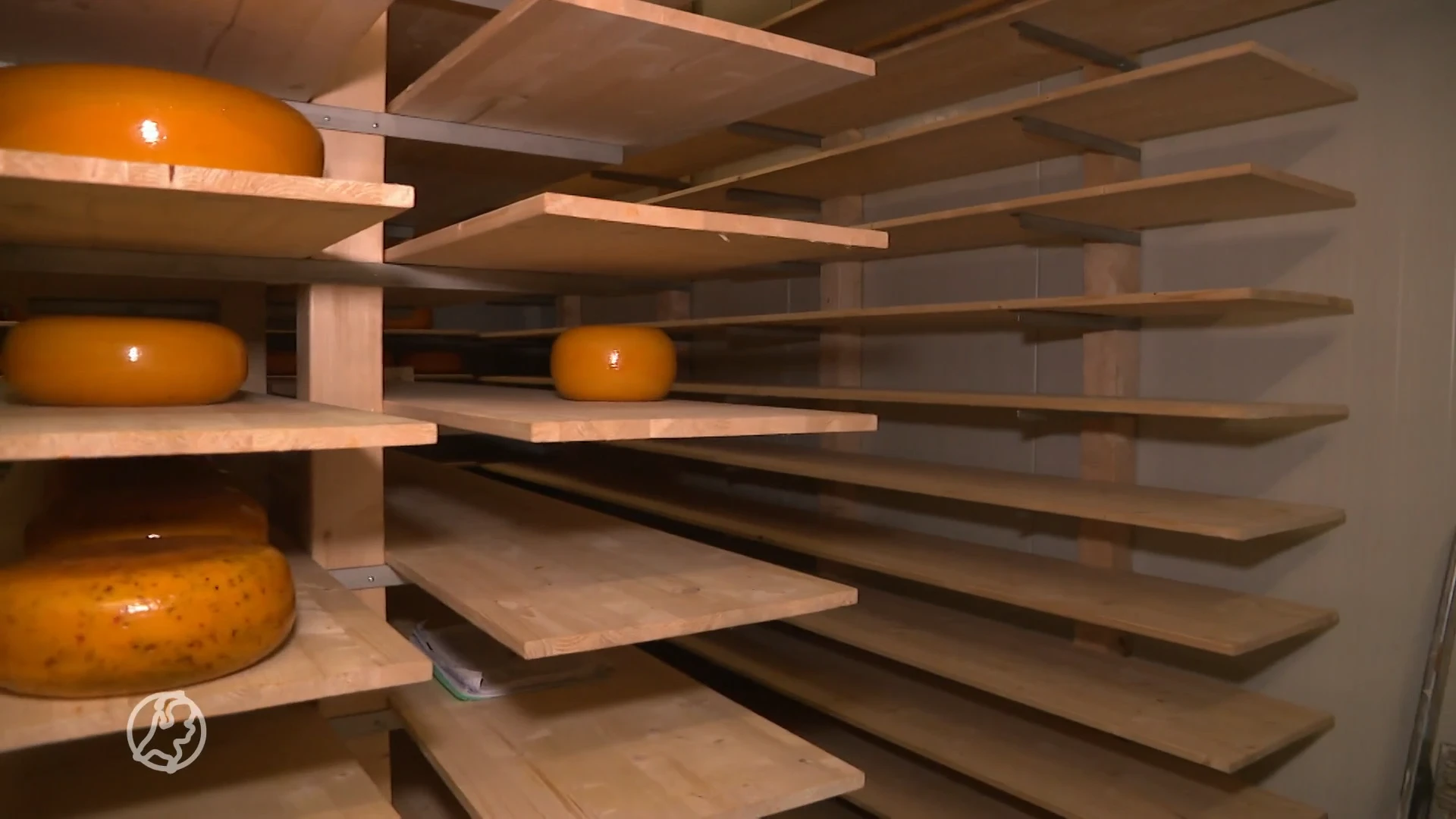 Georganiseerde misdaad rooft duizenden kilo's kaas van  Gerda en Joost uit Fijnaart