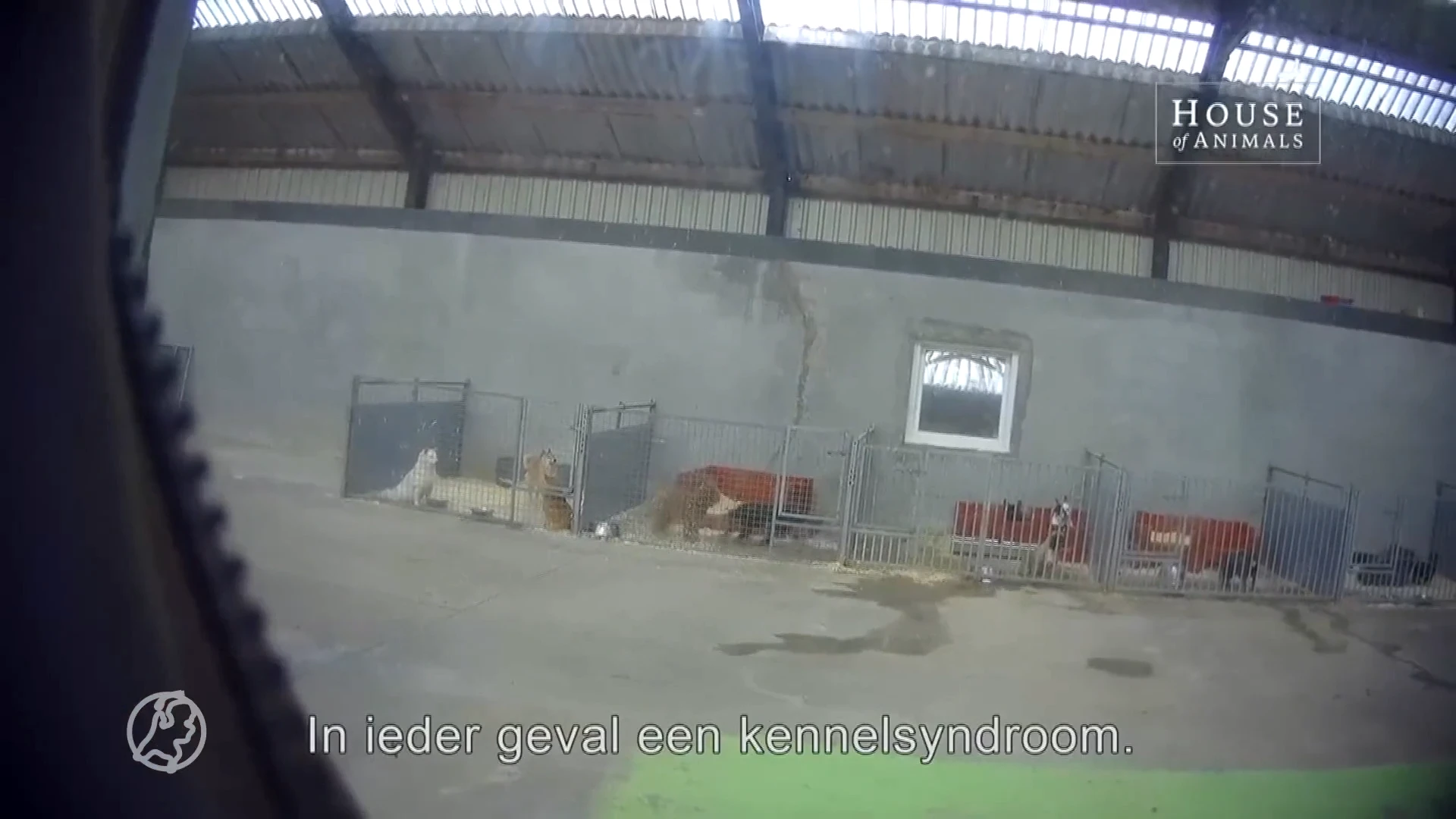 Undercovermateriaal van hondenfokkerij in Someren