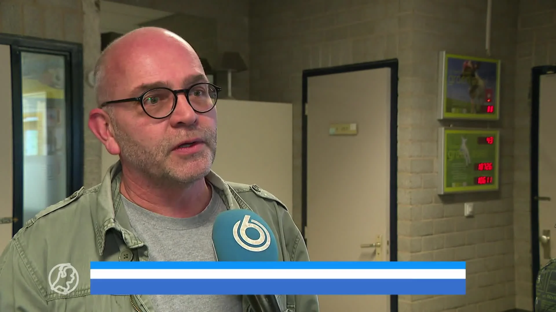 Gedumpte chihuahua's krijgen make-over: 'Eentje zat onder zijn eigen poep'