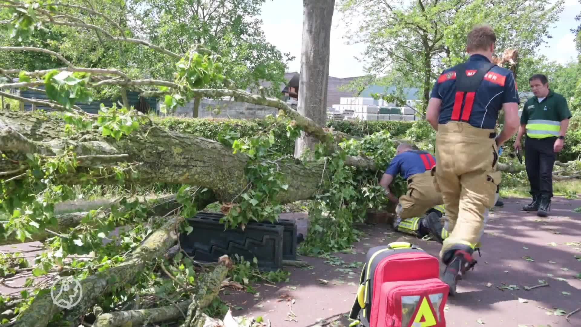 Boom valt op vrouw in Breda, hulpverlening bemoeilijkt door harde wind