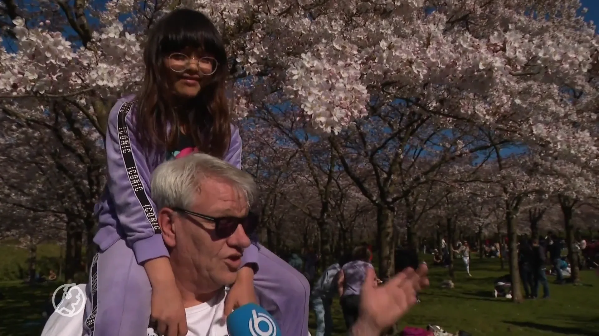 Begin van de lente brengt stralend lenteweer: 'Voor het eerst dit jaar naar 20 graden'