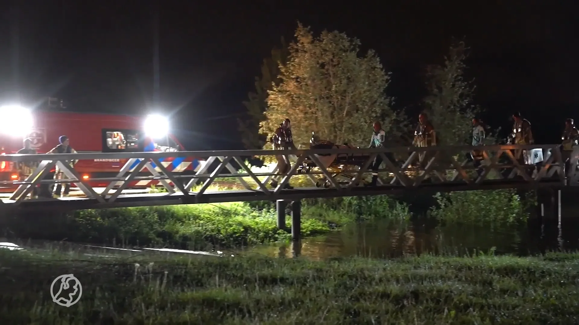 Man door koeien in nauw gedreven en valt met hond in water