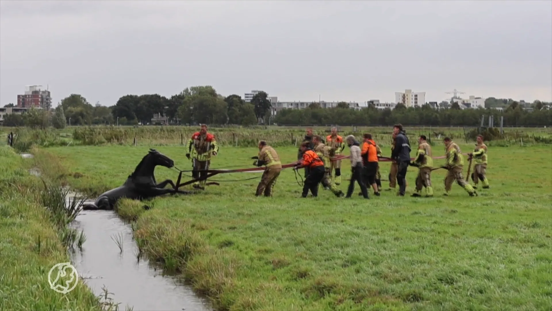 Paard maakt misstap en zit urenlang vast in sloot
