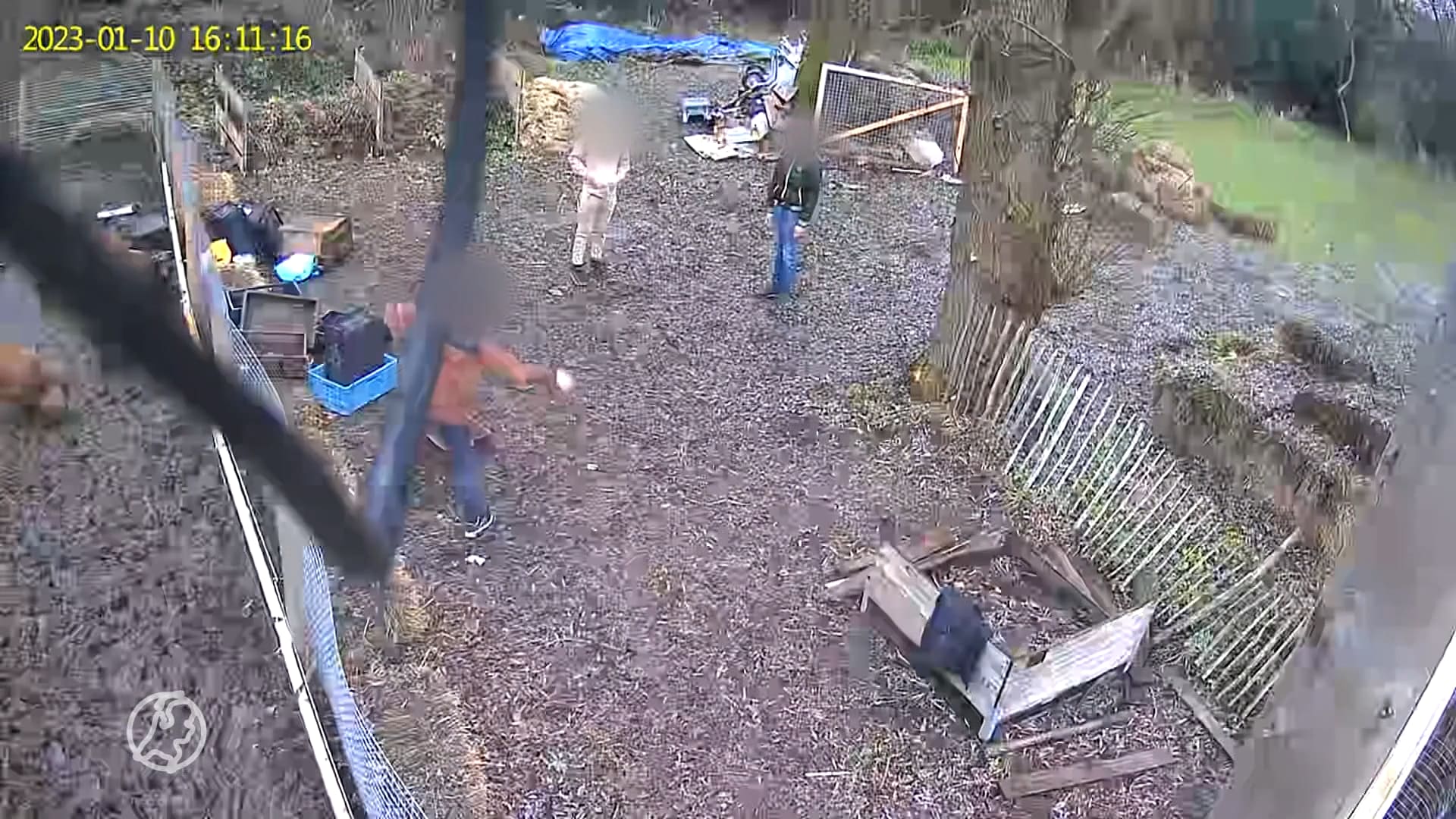 Jonge vandalen gooien stenen naar varkens en vernielen buurtboerderij