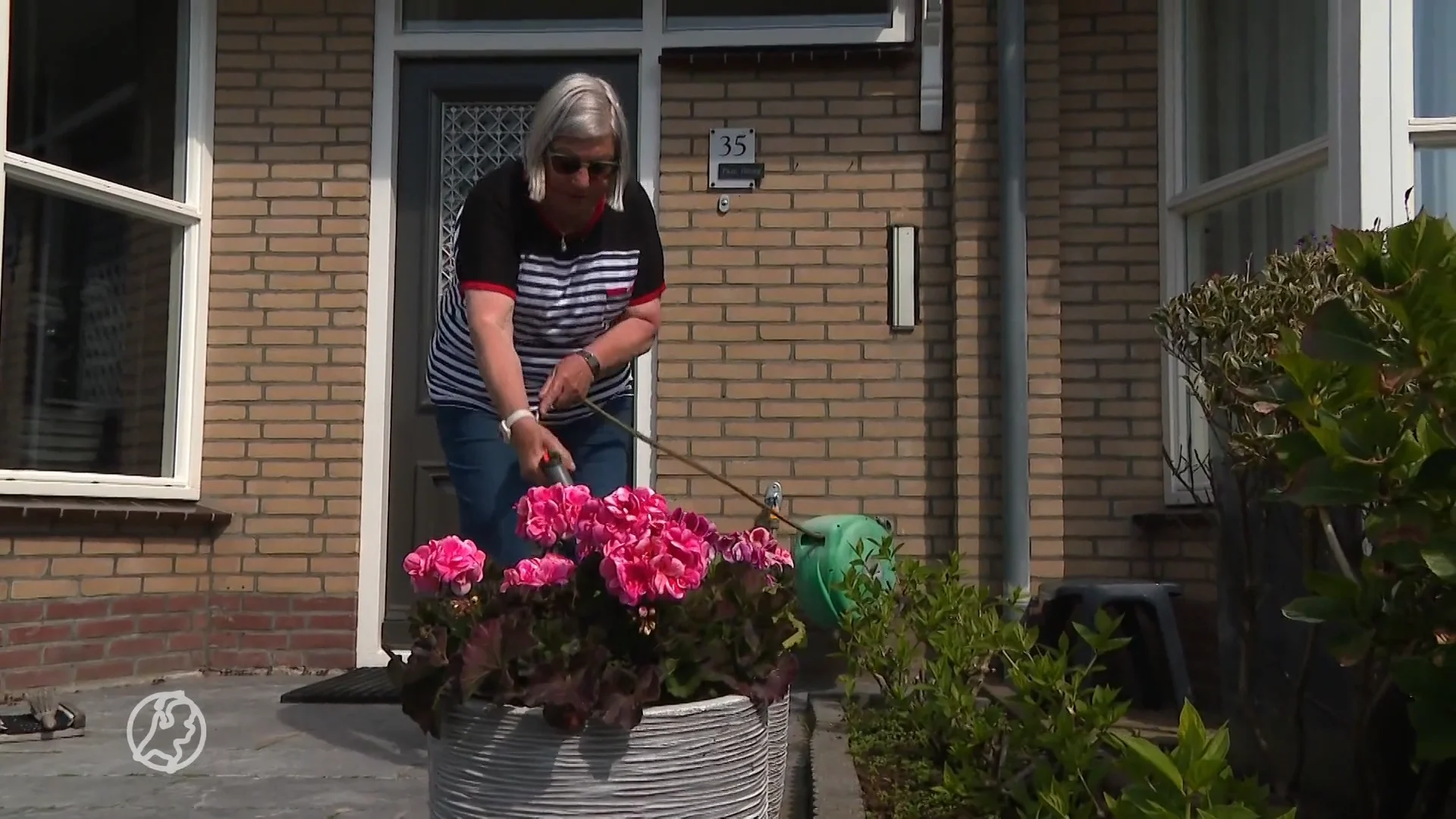 Egmonders kunnen maar beter de bloemetjes niet meer buitenzetten...