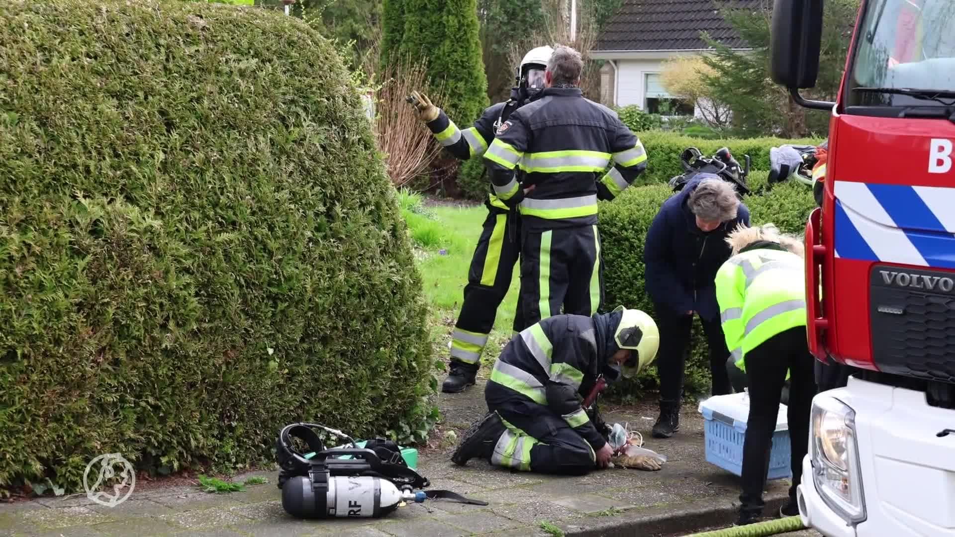 Kat gereanimeerd na brand in woning Menaldum