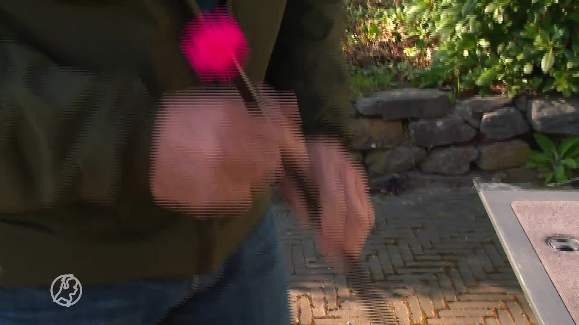 ZIEN: Wolf doet dutje in achtertuin in Doetinchem