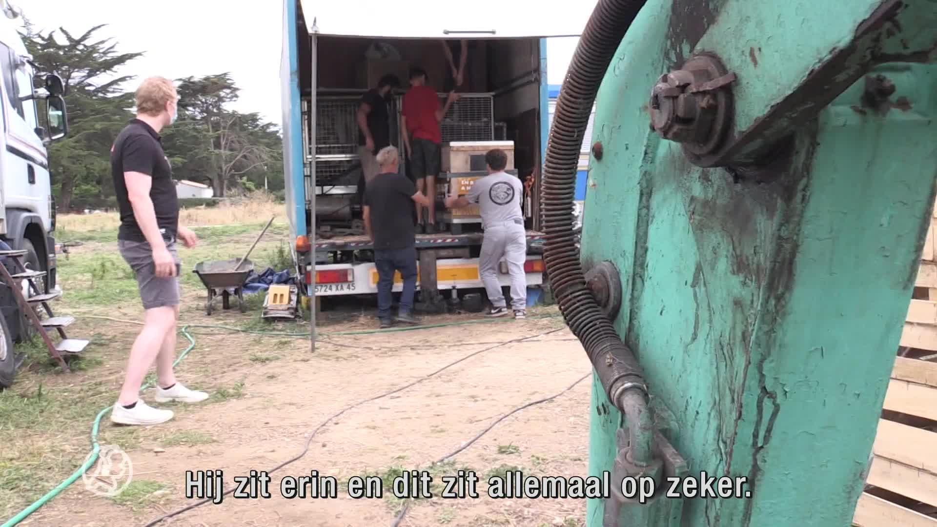Stichting AAP leert eenzame ex-circusbaviaan Kaki weer 'apen'