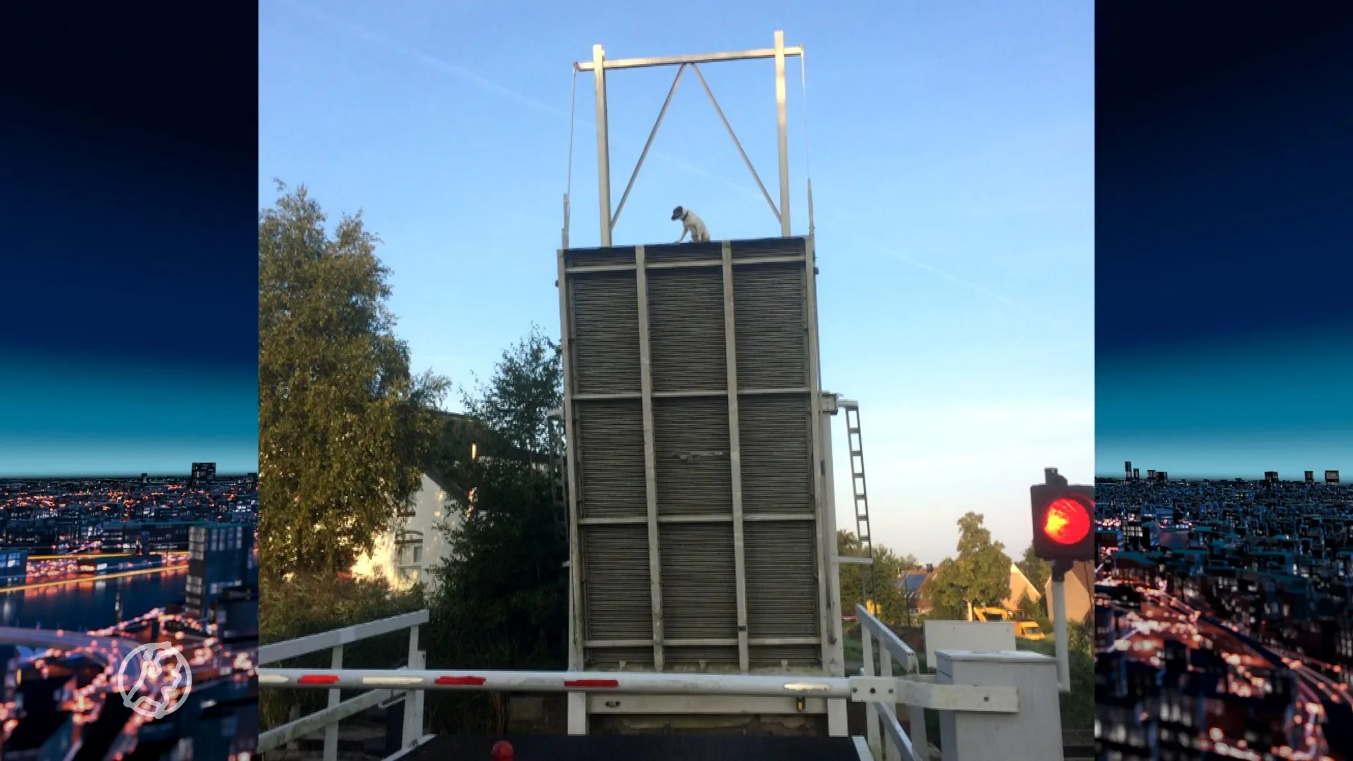 Brug gaat open met hond Remy erop: 'Met ingehouden adem staan kijken'