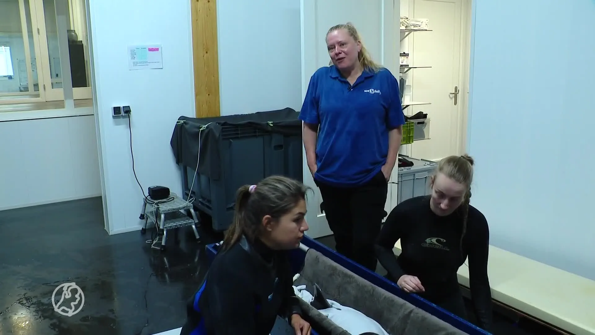 Bruinvis Norah mag terug de zee in