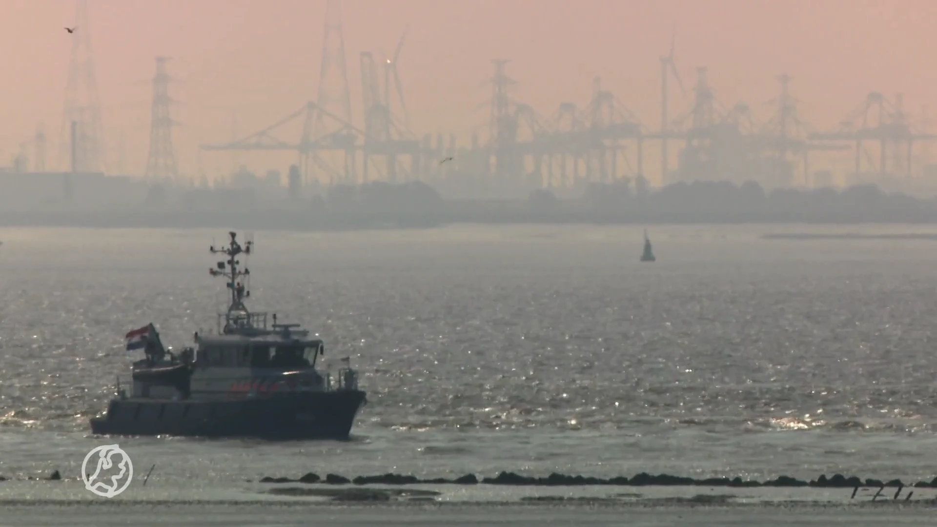 Een visje eten uit de Westerschelde? Doe maar even niet...