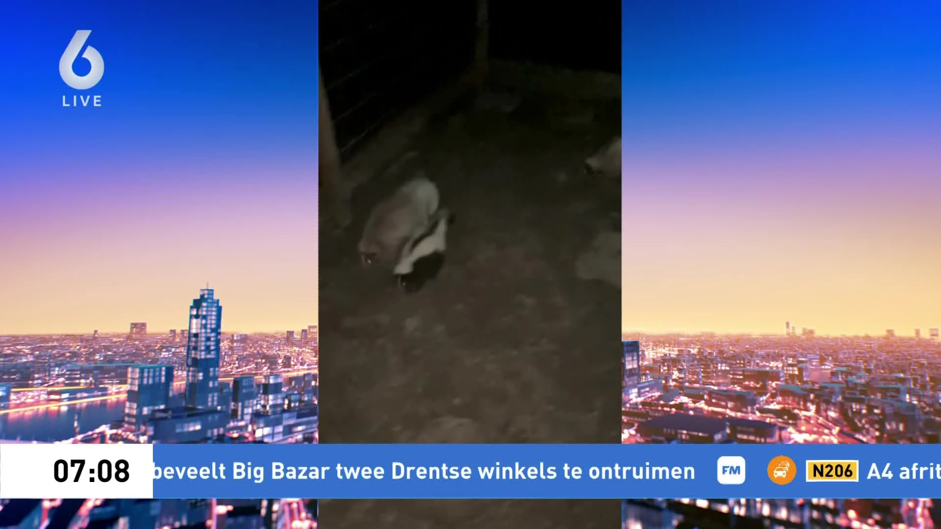 Na dagen zoeken met speurhond en warmtelampen is stinkdier Otto gevonden