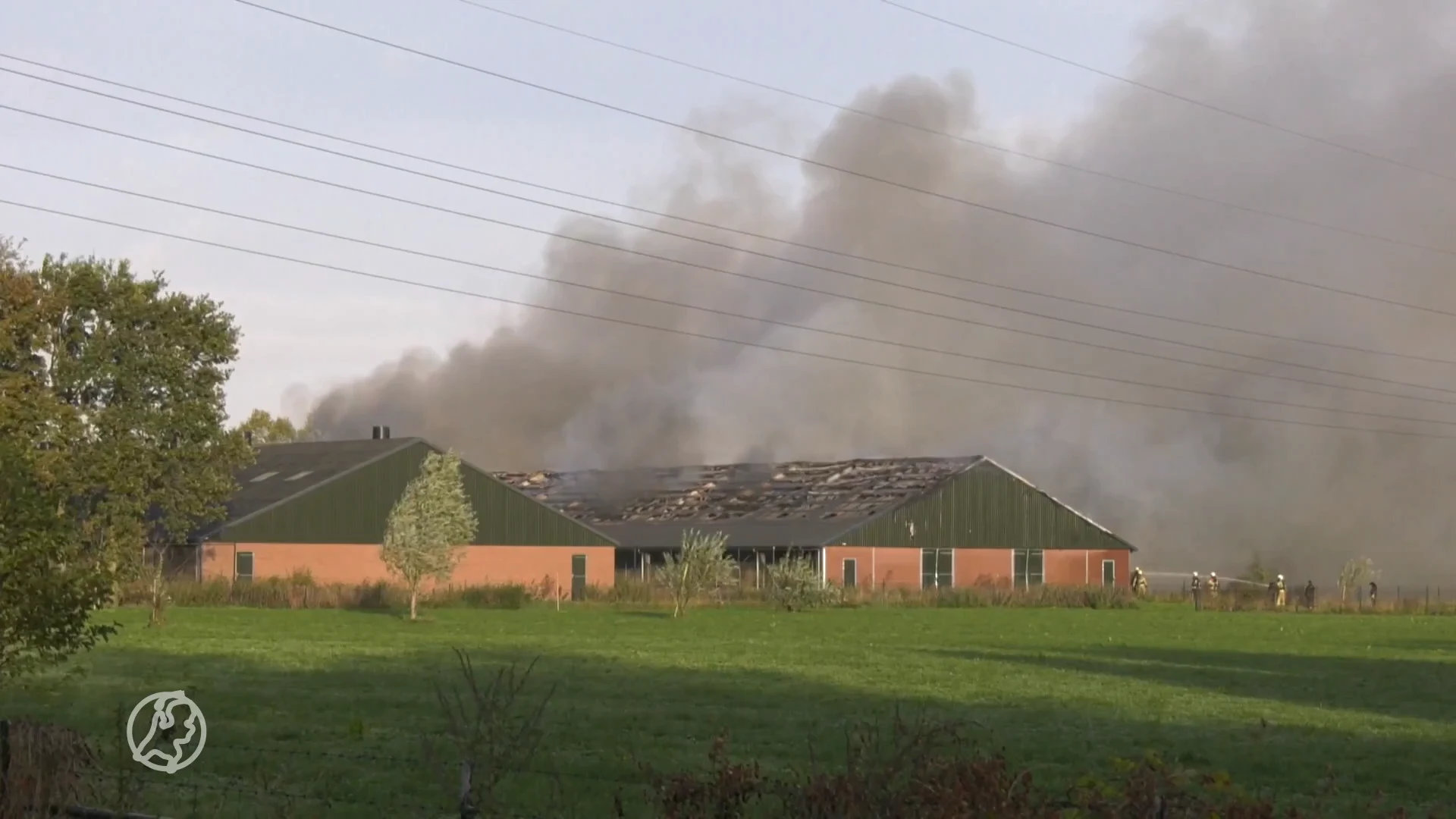 Grote schuur in Putten met 3000 kippen in brand: dieren niet meer te redden