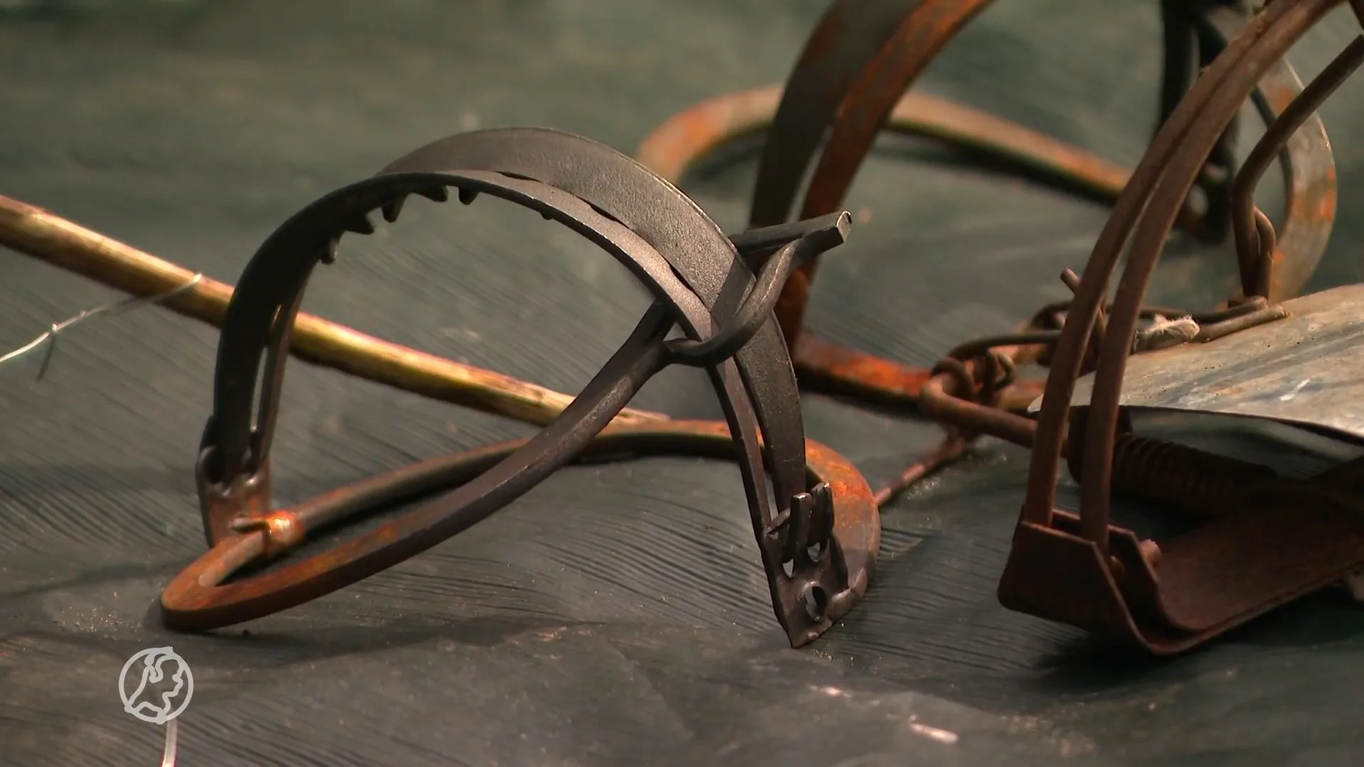 Brabant strijdt tegen de oprukkende wildstropers: 'Zoek niet zelf de confrontatie'