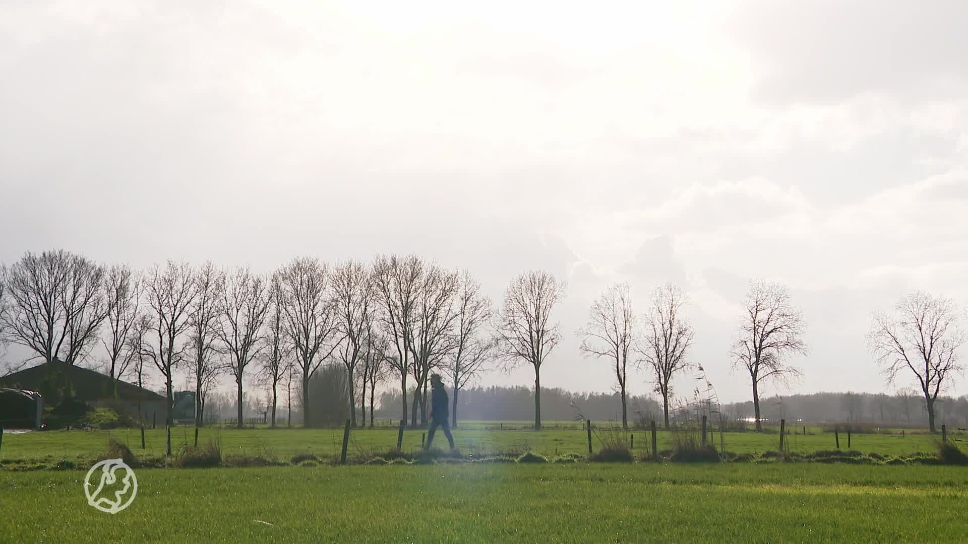 Wolf houdt gemoederen in Someren bezig: 'Ik zag twee ogen in het gras'