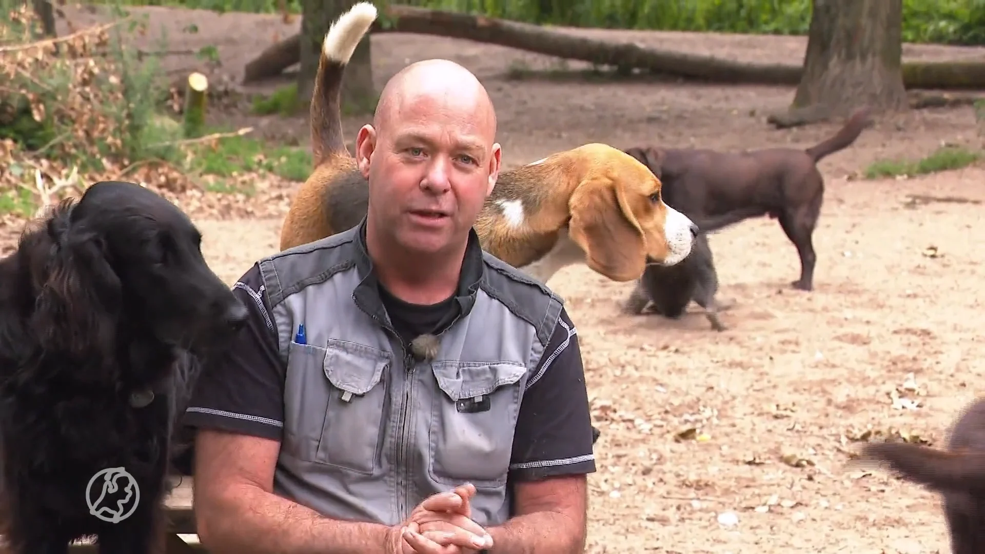 Moet Brams hondenopvang wijken voor een weg?