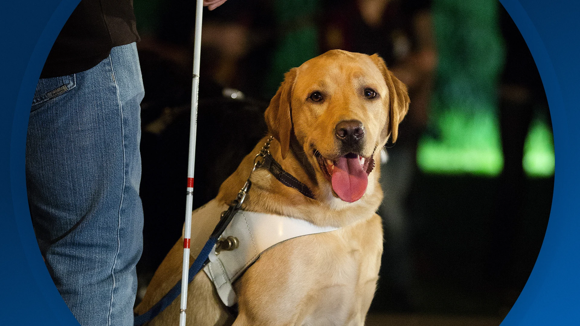 Seizoen 2026, aflevering 71