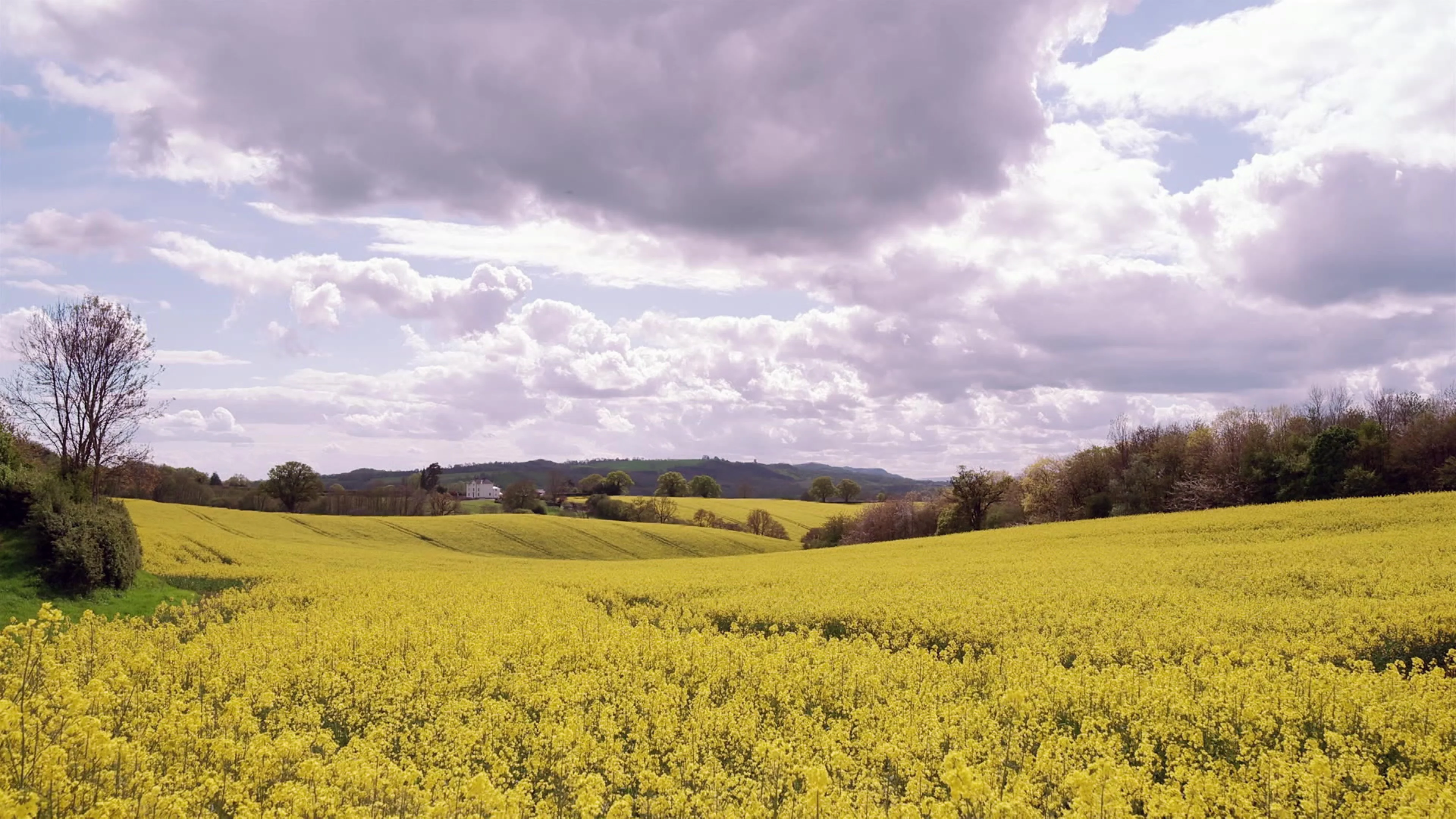 Droomhuis op het Platteland