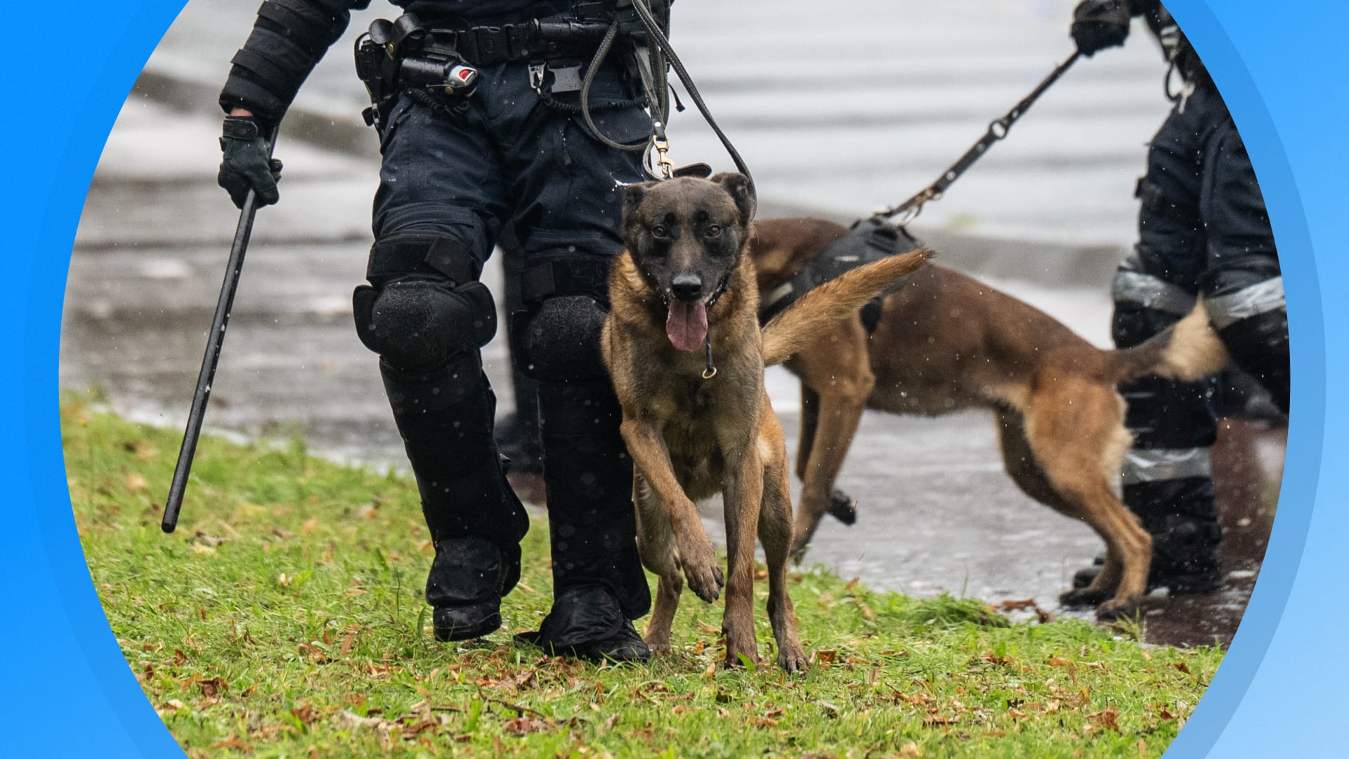 Seizoen 2026, aflevering 709