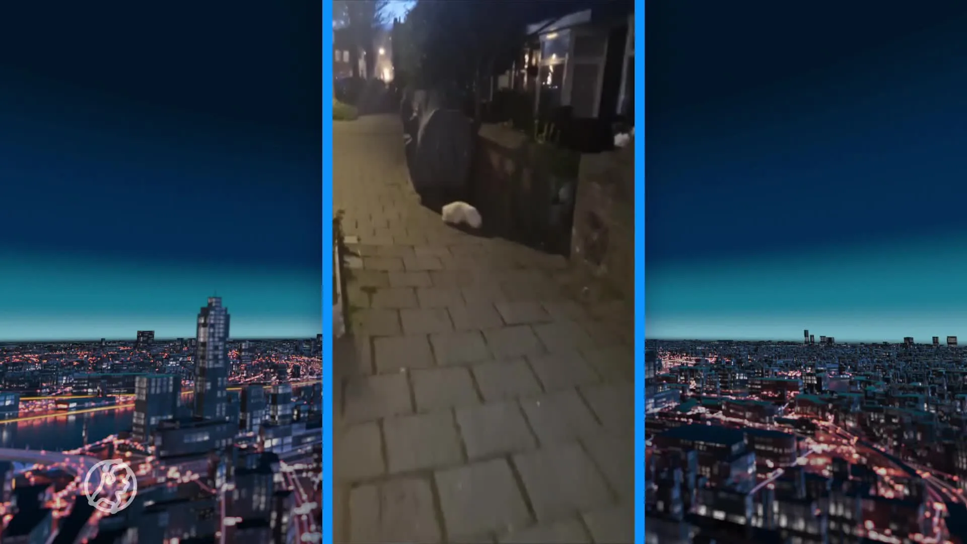 Stinkdier gespot in IJmuiden 'once-in-a-lifetime'