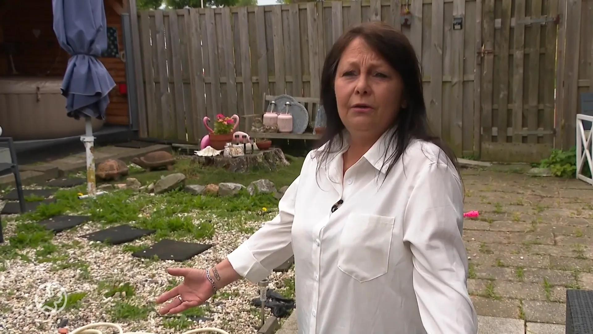 Buurteend Sientje doodgereden in Spijkenisse: 'Ze waggelde haar hele leven achter me aan'