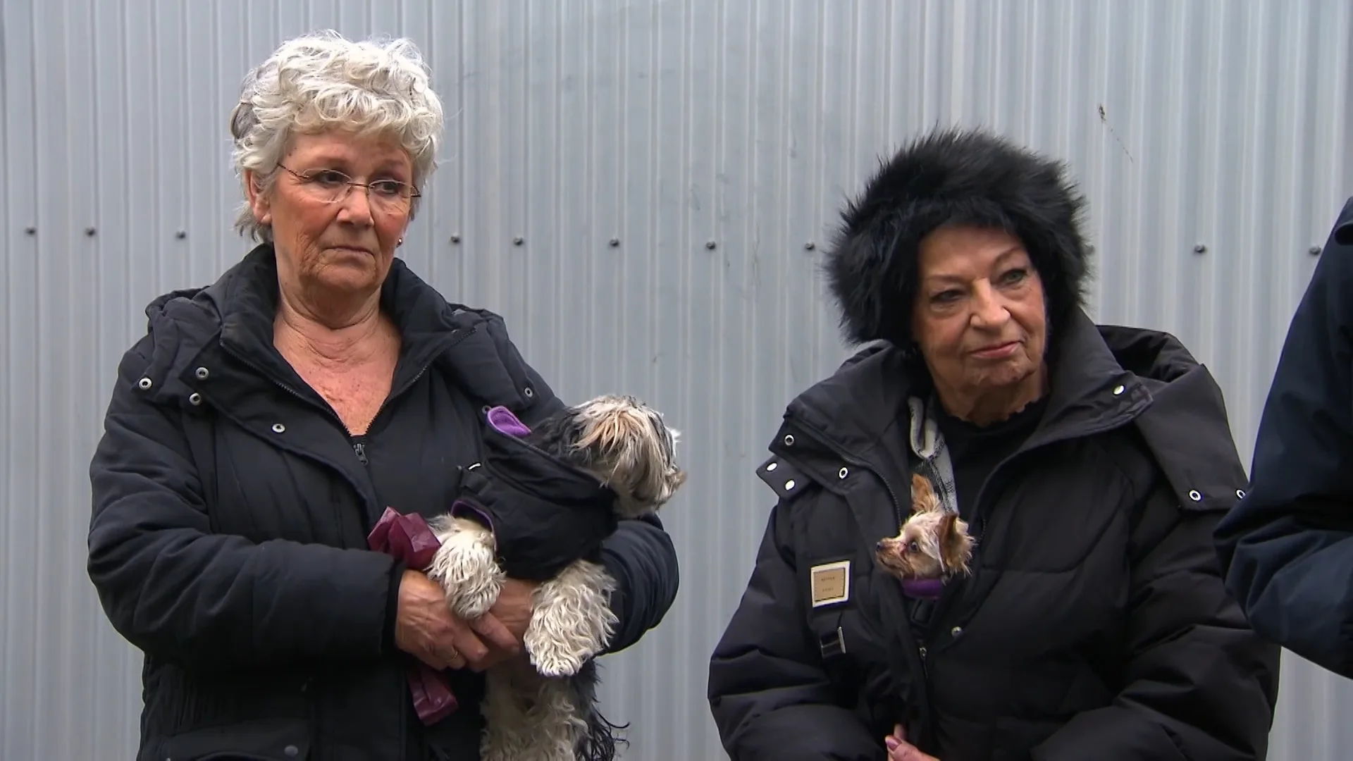 Buurvrouwen Margriet en Alice vechten voor hun tuintje