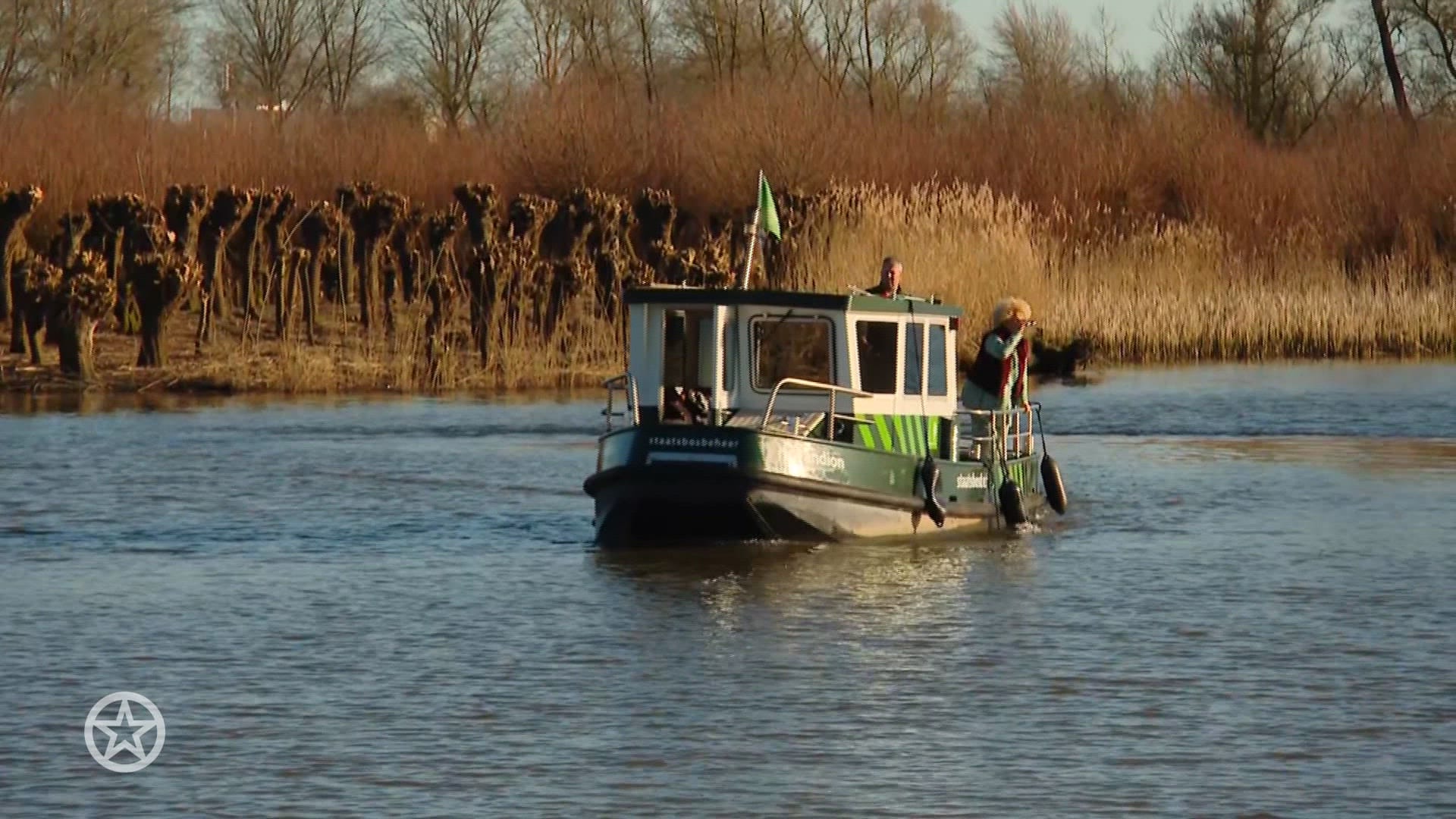 Karin Bloemen is helemaal in de wereld van de bevers gedoken