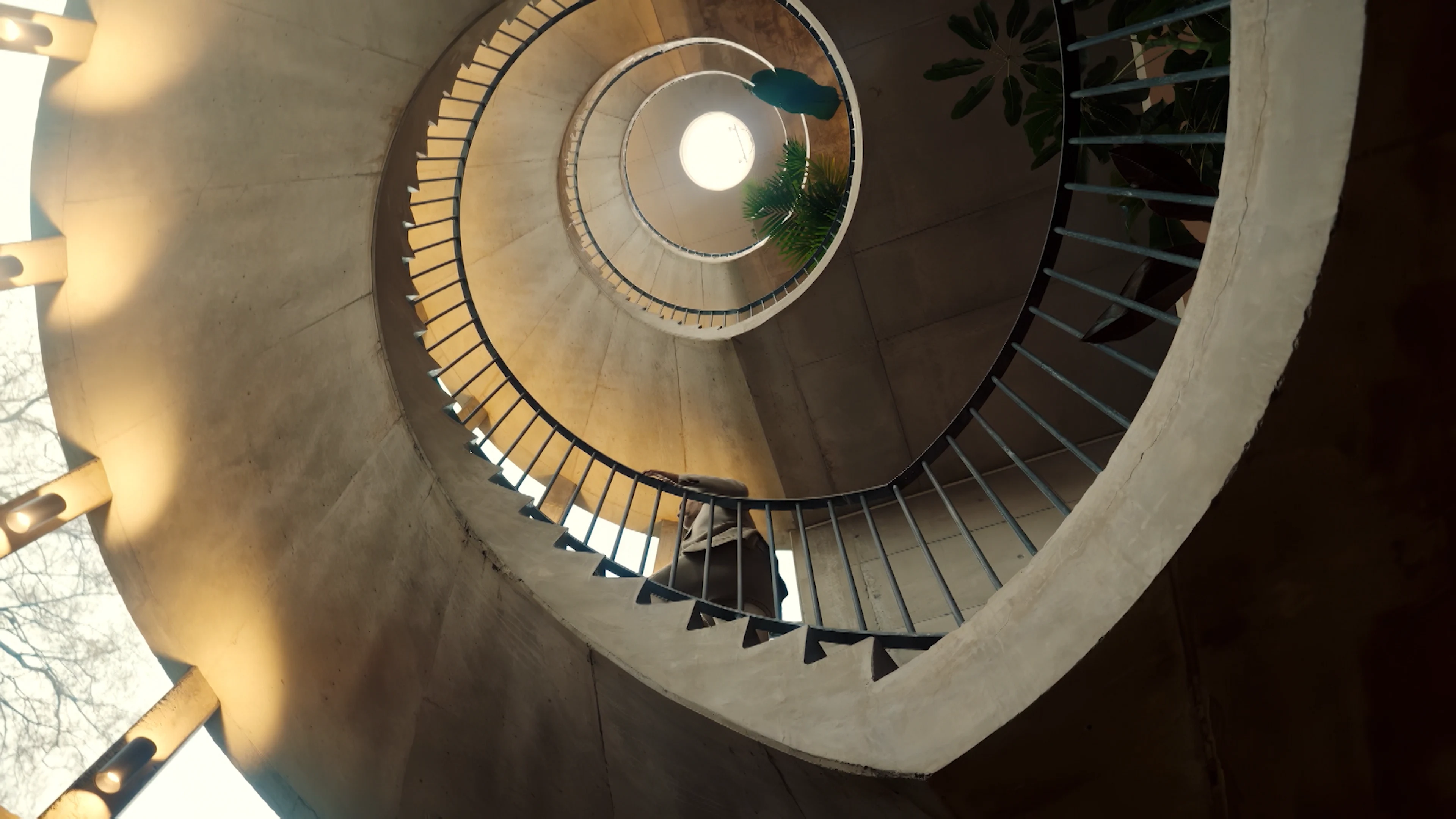 Seizoen 5, aflevering 8