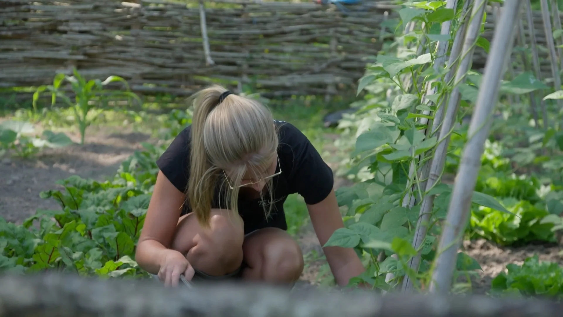 Familie Gnodde zit geen moment stil in Frankrijk