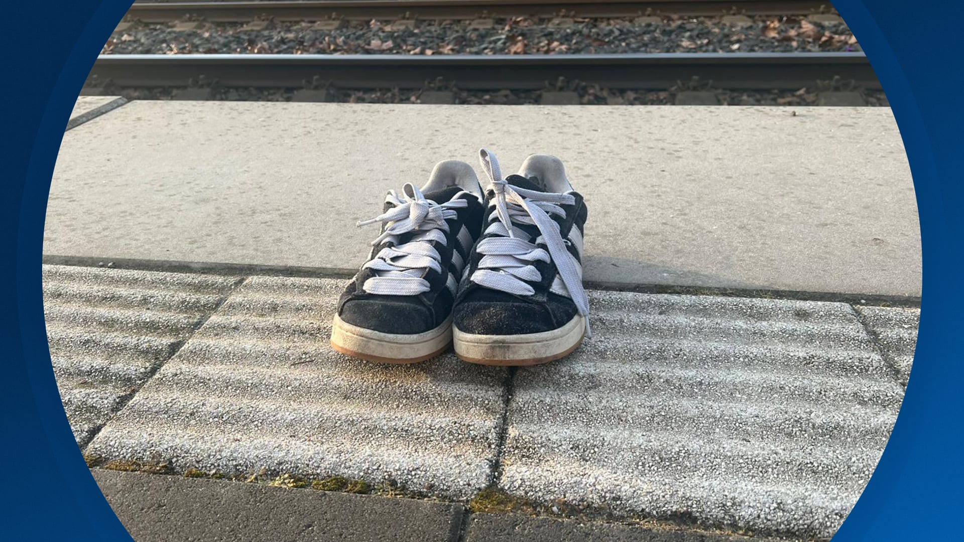 Hart van Nederland - Late Editie