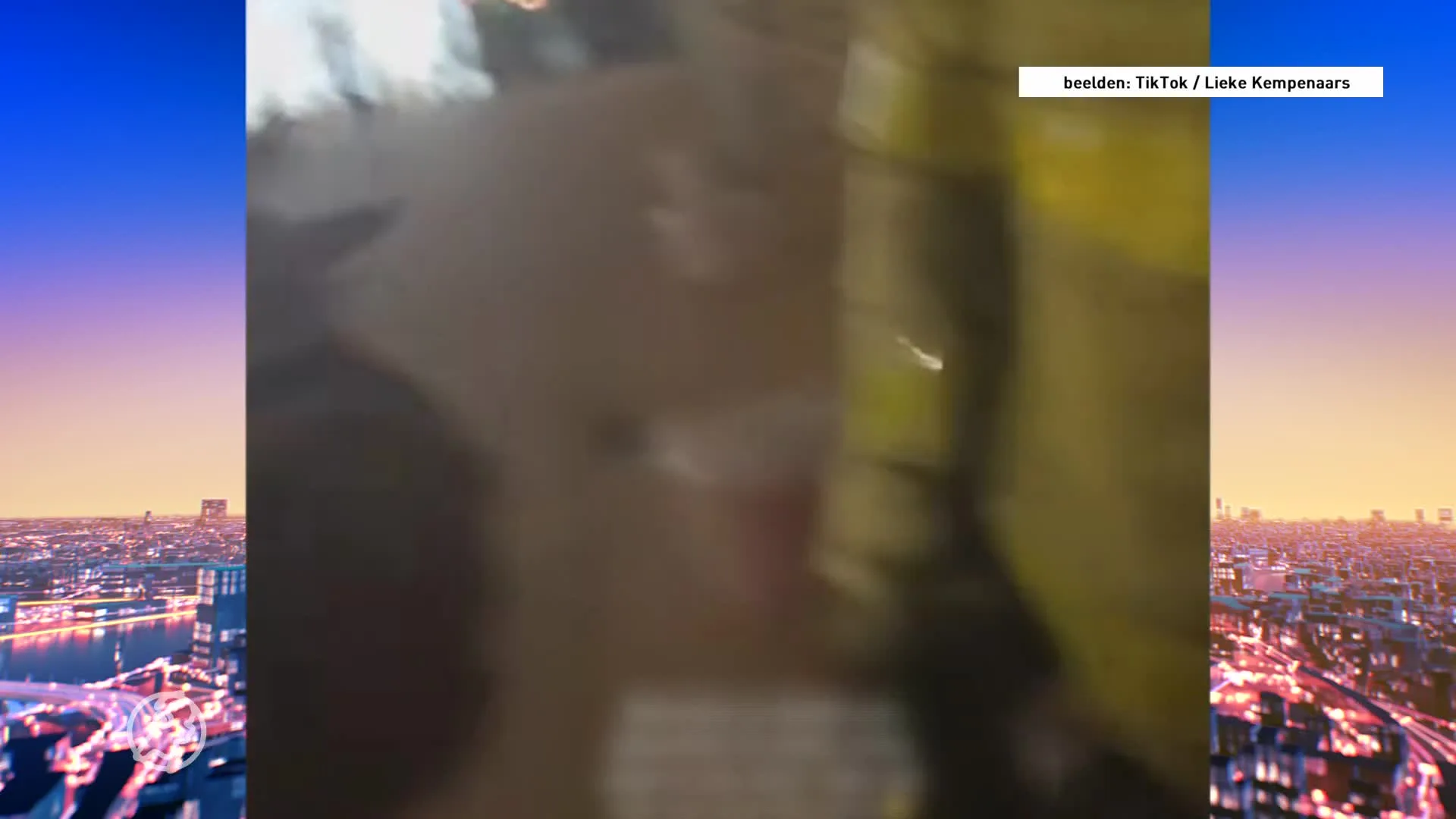 Kimberley doet blaastest op portofoon agent en gaat viraal