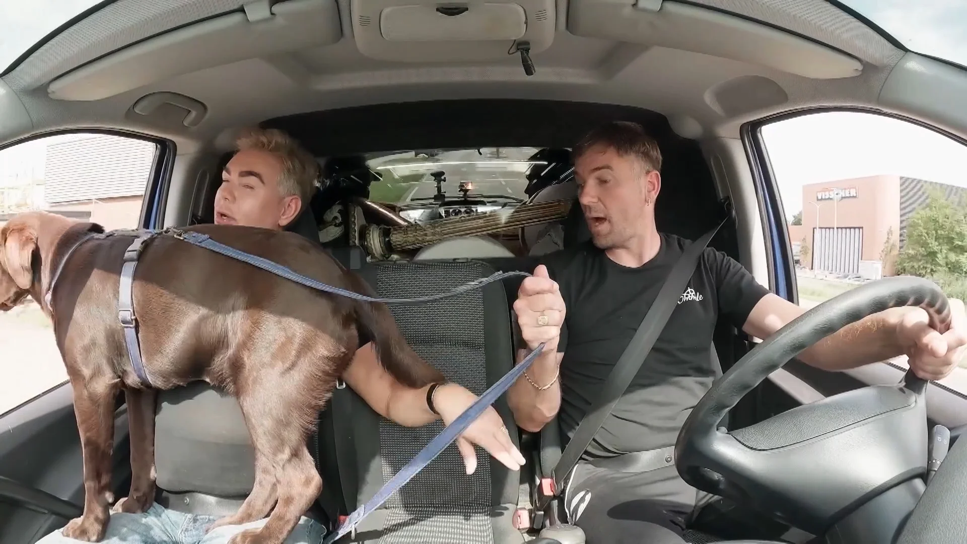 Hond Lub valt bijna uit het raam