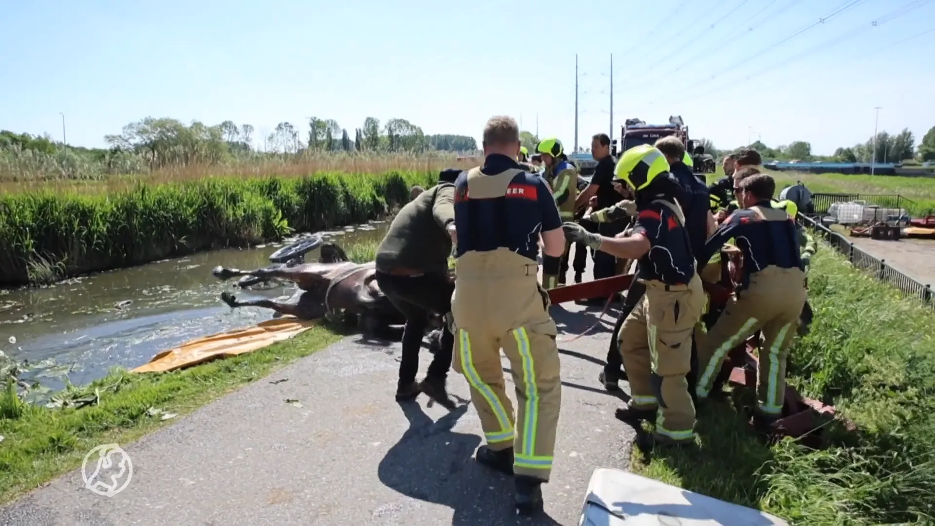 Paardenkoets belandt in water, hulpdiensten schieten te hulp
